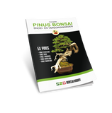 PINUS BONSAI Snoei- en verzorgingsgids