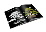 Bonsai Beginners Gids
