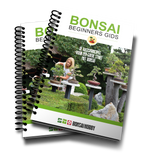 Bonsai Beginners Gids