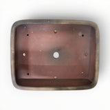Bonsaischaal, rechthoek beige, 60 x 48 x 13 cm (40918)