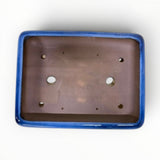 Bonsaischaal, rechthoek blauw, 50,5 x 39 x 10 cm (40768)