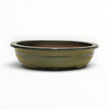 Bonsaischaal, ovaal groen, 61 x 50 x 14 cm (40915)