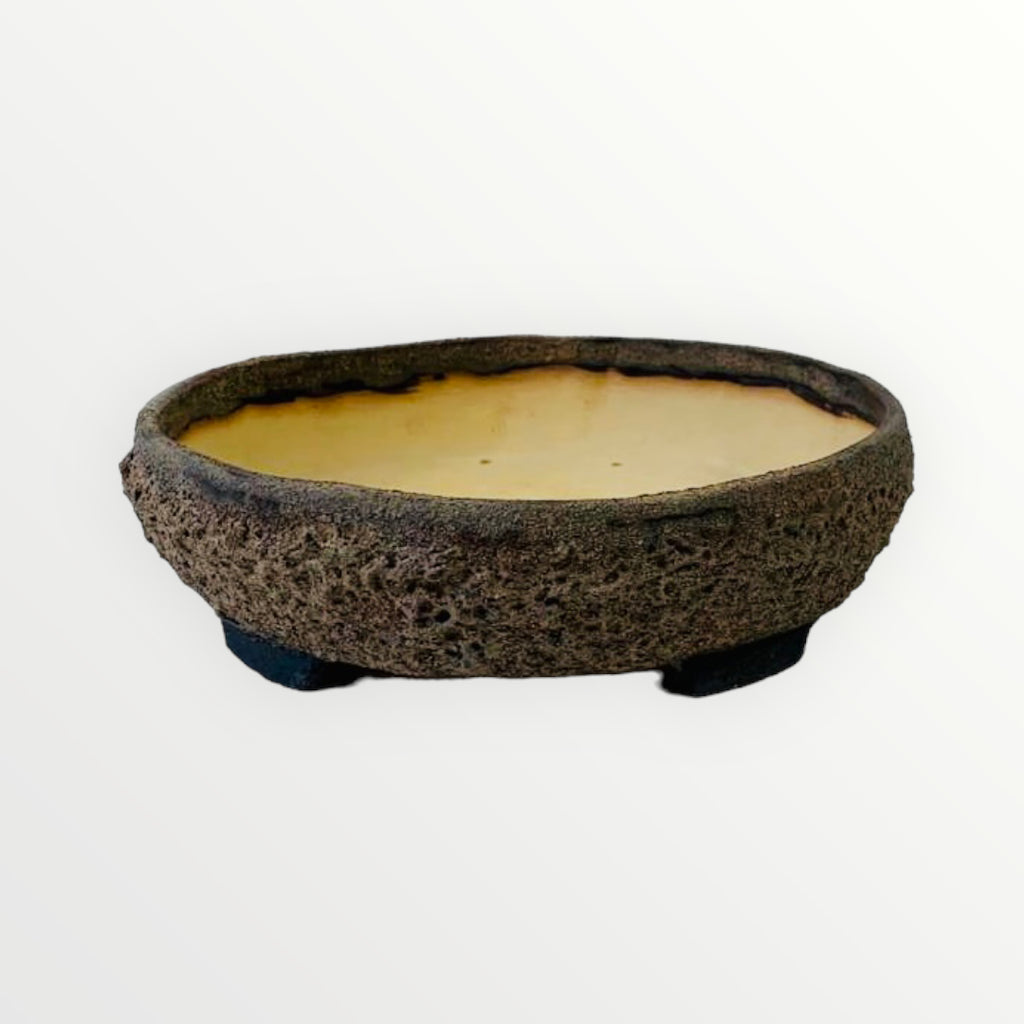 Bonsaischaal bruin rond 12cm met spetter relief – Bonsai Shop Bonsaischaal bruin rond 12cm met spetter relief – Bonsai Shop