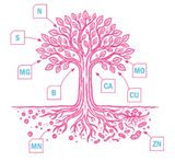 Saidung X - Vloeibare bonsaimest met sporenelementen