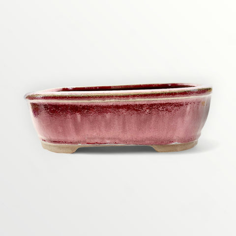 Bonsaischaal, rechthoekig, rood, 26 x 21,5 x 7 cm