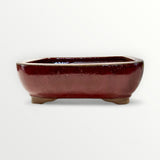 Bonsaischaal, rechthoekig, rood, 20 x 16 x 7 cm