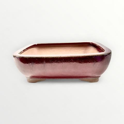 Bonsaischaal, rechthoekig, rood, 20,5 x 15,5 x 7 cm