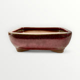 Bonsaischaal, rechthoekig, rood, 21 x 16 x 7 cm