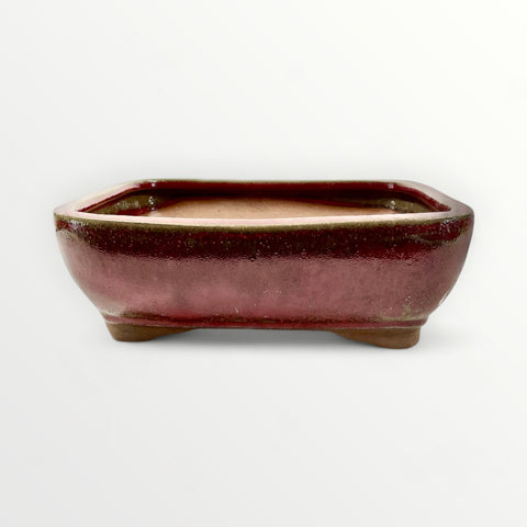 Bonsaischaal, rechthoekig, rood, 21 x 16 x 7 cm