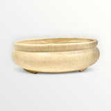 Bonsaischaal, rond beige, 24 x 8 cm