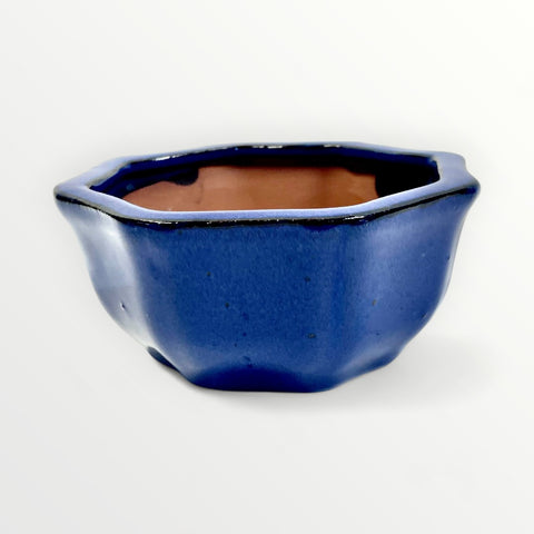 Bonsaischaal, rond blauw, 14 x 7 cm