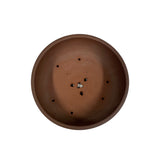 Bonsaischaal, rond bruin, 21 x 7 cm