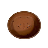 Bonsaischaal ovaal en bruin 30 x 25 x 6,5 cm