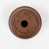 Bonsaischaal, rond, bruin ongeglazuurd  29,5 x 12,5 cm