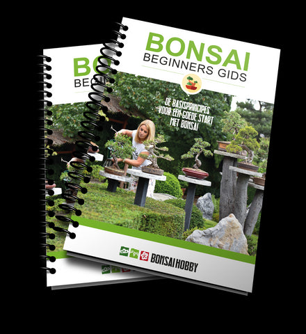 Bonsai Beginners Gids