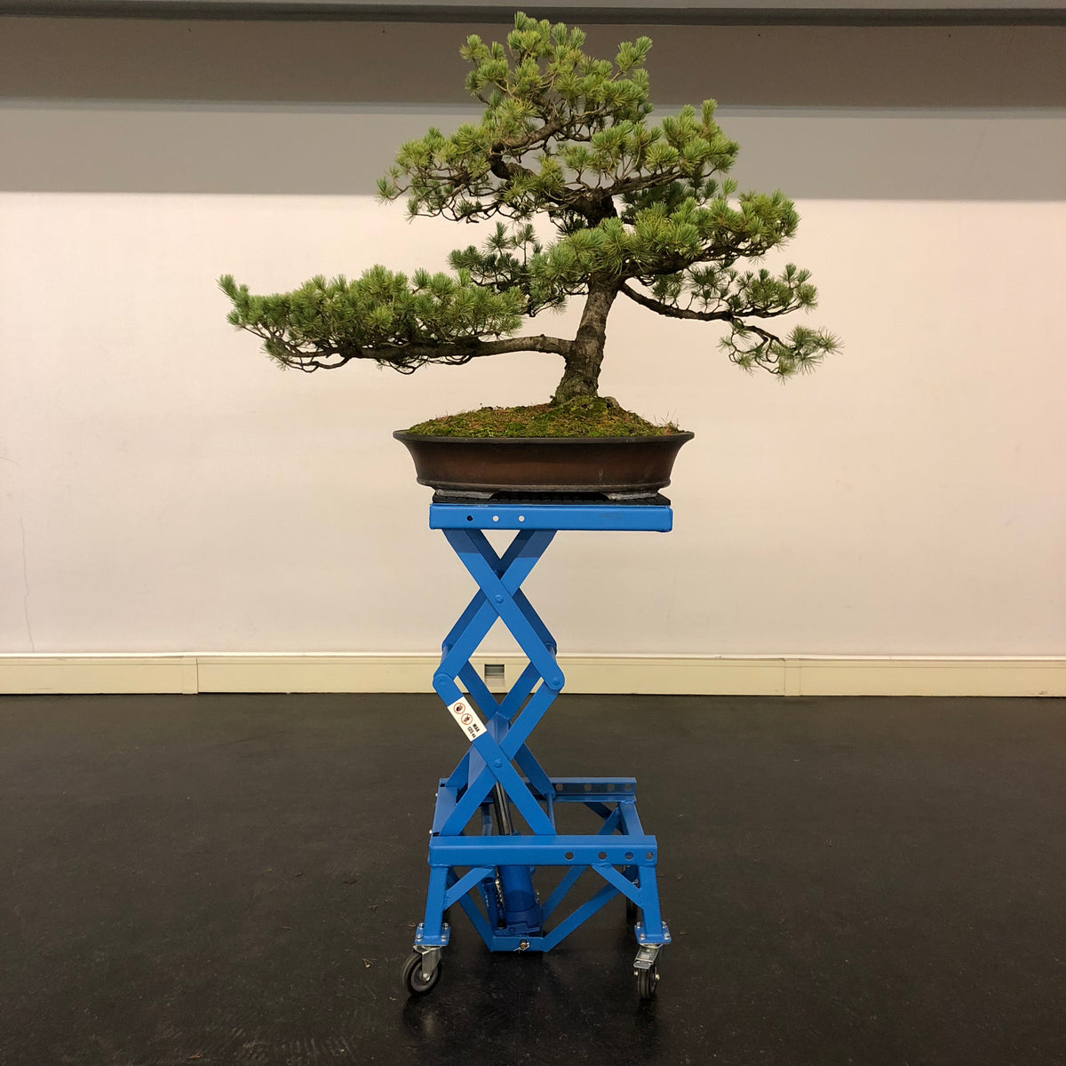 Ergonomische bonsai werktafel Masterlift - Draai- en werktafels ...